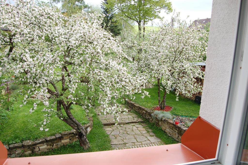 Penzion Belvia Nová Lesná Eksteriør bilde